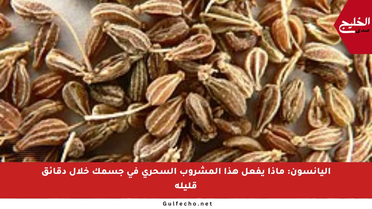 اليانسون: ماذا يفعل هذا المشروب السحري في جسمك خلال دقائق قليلة